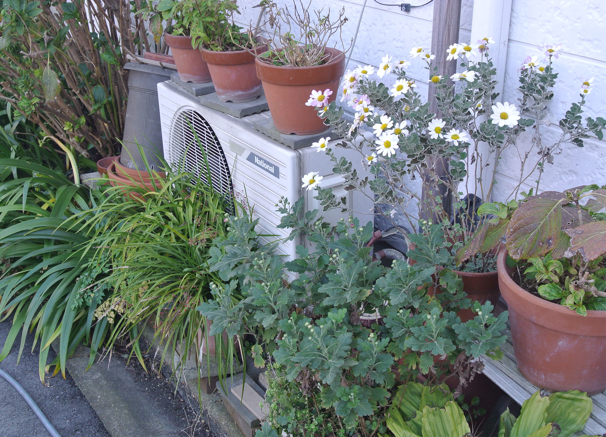 那古野の神様を知ろう、祈ろう＿部分2